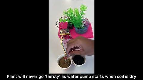 Digital Making using Microbit Speed Coding with MicroBit 2026