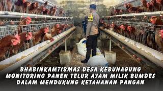 Bhabinkamtibmas Kebunagung Village Monitoring the Harvest of Chicken Eggs Owned by Bumdes in Supp...