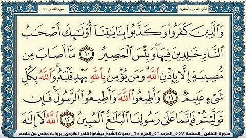 سورة التغابن مكتوبة بيشةوا قادر الكردي Surah Al Taghabon Peshawa Qadr Al Kurdi
