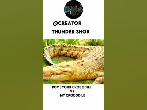 your Crocodile vs my Crocodile #viral #shots #anime #onepiece - YouTube