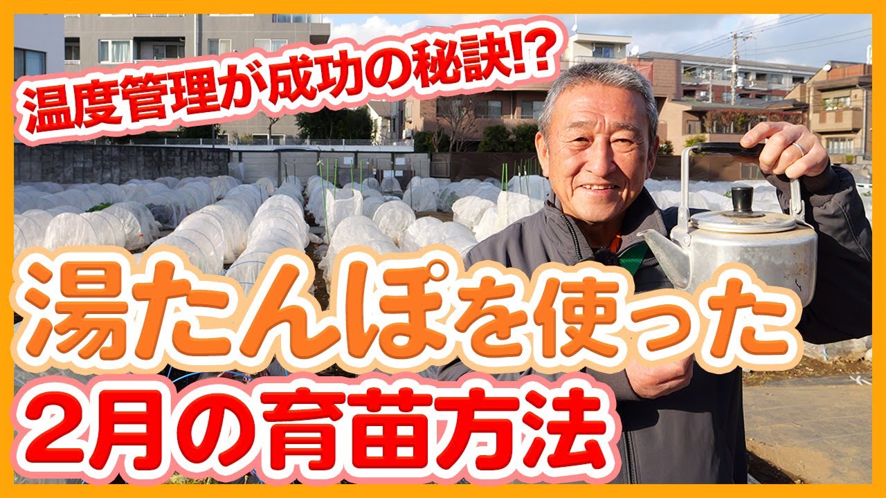 家庭菜園や農園栽培で湯たんぽを使った育苗方法！置くだけで簡単な春夏野菜の育苗を徹底解説！【農家直伝】/Tips for raising seedlings of summer vegetables.