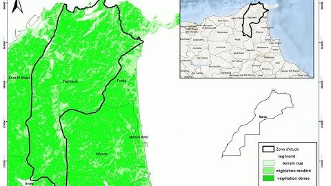 NDVI / Carte de Végétation / Forest Cover Map in ArcGIS / خريطة الغطاء الغابوي /Mapa de Vegetacion