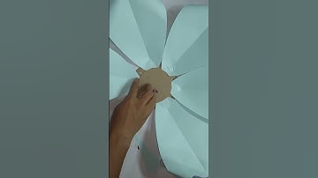 72k view 😍| how to make big paper flowers #diy #shorts #viral #papercrafts #paperflowerwalldecor