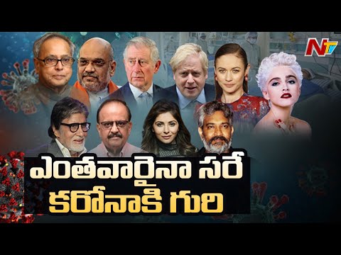 Celebrities With Coronavirus: Focus On Famous People Tested Who Positive | NTV