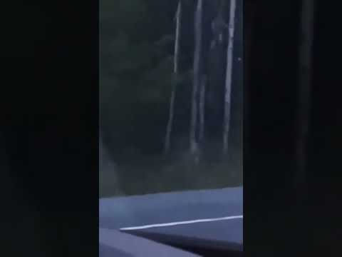 Рейк охотится за