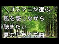 【ゴスペラーズ】夏のドライブで聴きたい曲おすすめ3選+おまけ