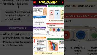#anatomy #bpt #mbbs