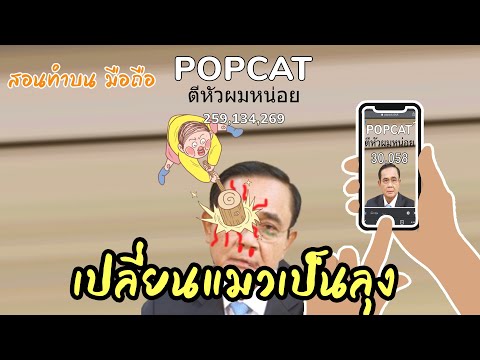 POPCAT เปลี่ยนแมวเป็นลุง พาทำบนมือถือ