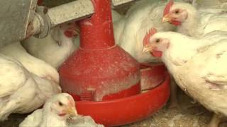 Cuba Market Potential for South Dakota Farmers