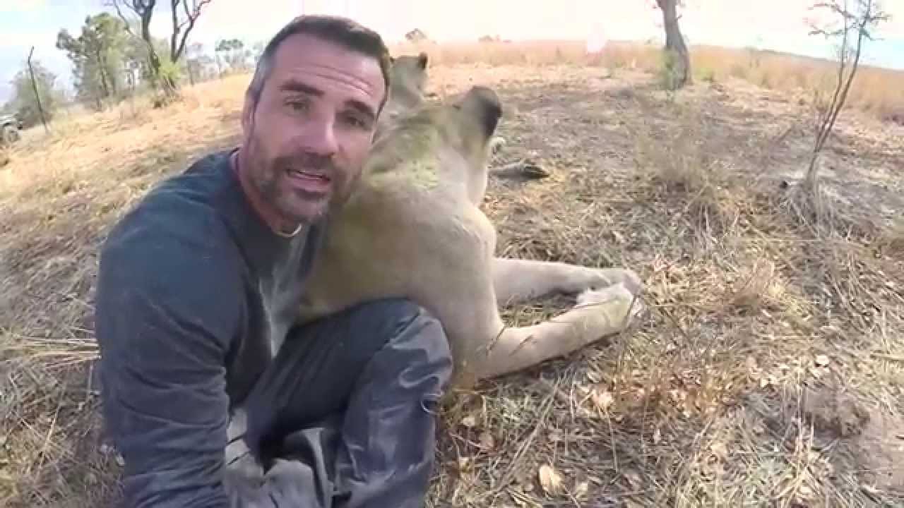 What Is Canned Lion Hunting? | The Lion Whisperer