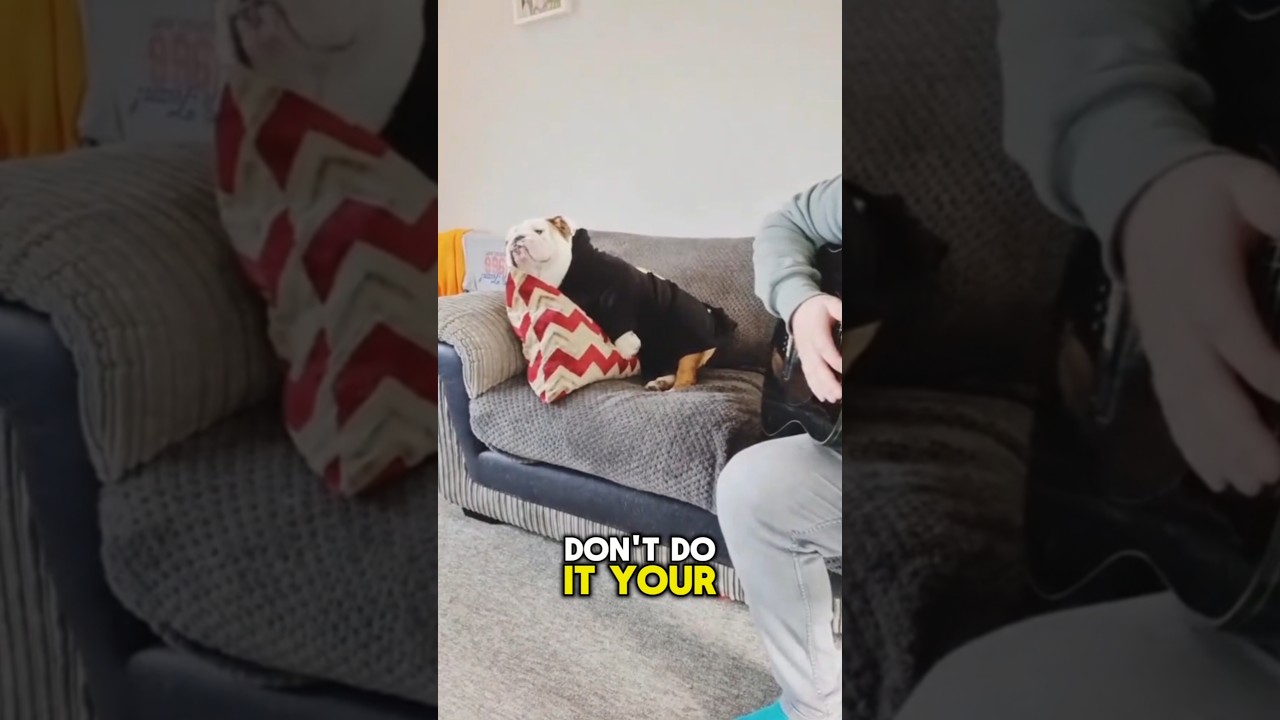 Proof ... Pablo just loves my music 🥹