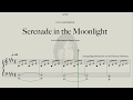 Serenade in the Moonlight