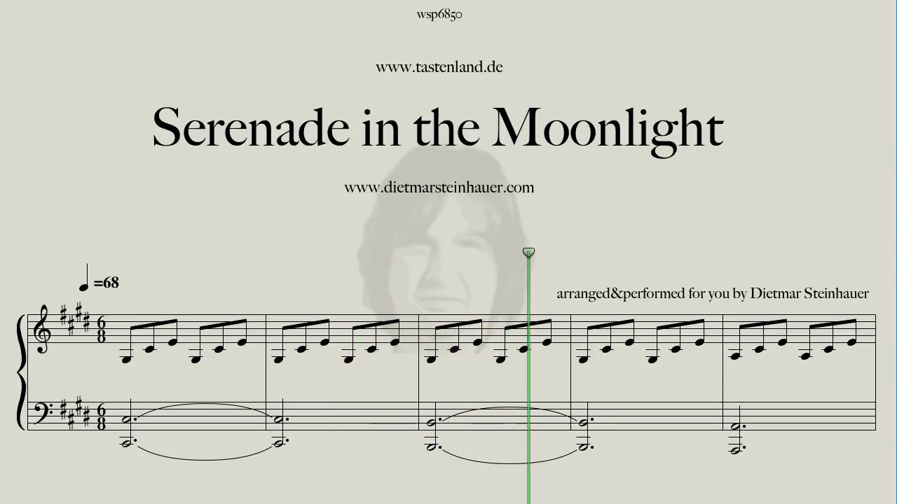 Serenade in the Moonlight