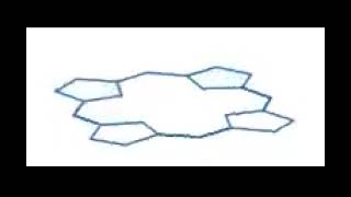 Supplementary Video B1U