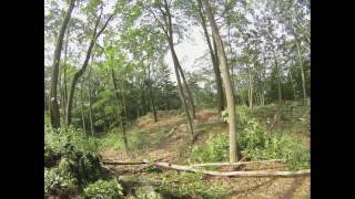Land Clearing in Lakeville CT (timelapse)