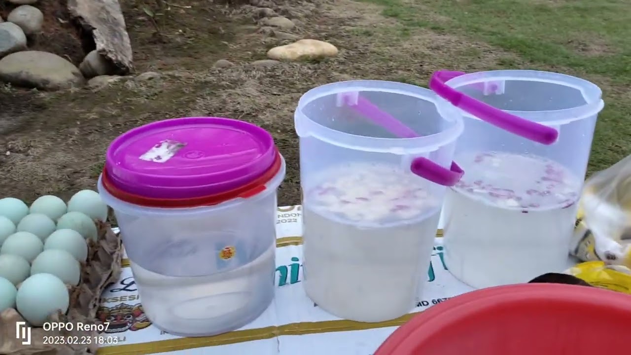 Mengisi Waktu Menjelang Maghrib..... Proses Pembuatan Telur Asin dengan Cara Sederhana &  Mudah