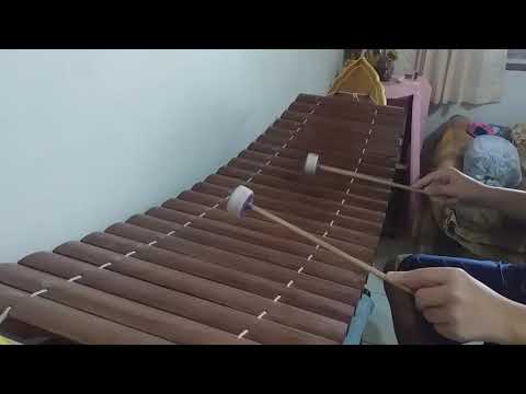 ระนาดเอกเพลงศรีนวล