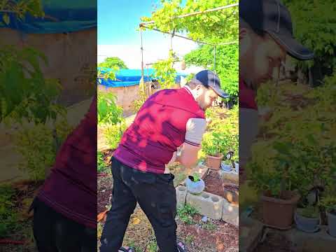 الخوذة العسكرية صارت للزراعة 😨 تشاهد لأول مرة حتى علبة المرتديلا ما خلصت 😅😅