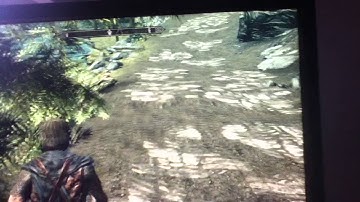 skyrim Anoying Graphics bug plz help