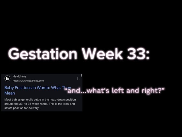 “ASMR” “Roleplay”: You and Your Twin Misunderstand Directions on the 33rd Week in the Womb