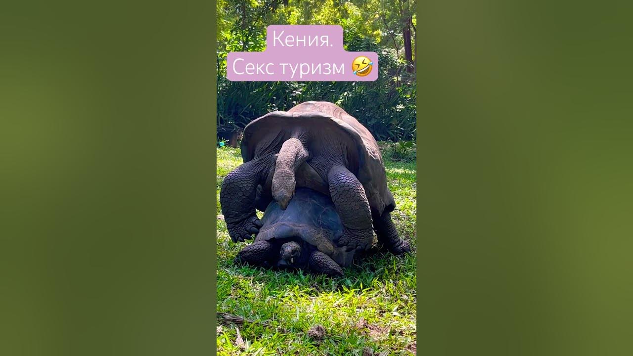 Эротикалық ұялы телефон секс фото Ташкент