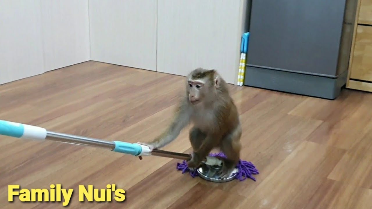 Nui Family | Mom and Nui wipe the house super cute