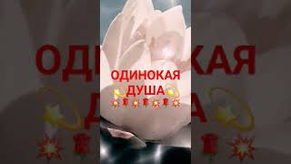 одинокая душа🌹💥🌹💥🌹💥