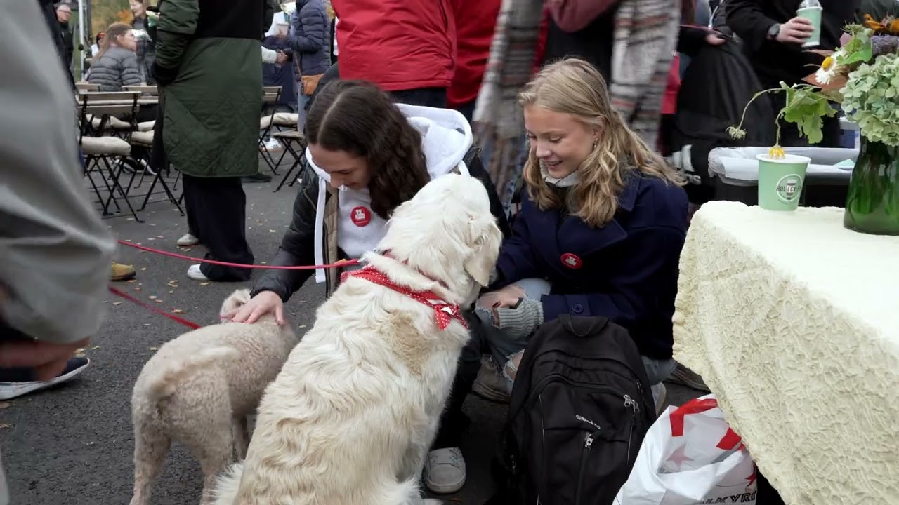 Verdensdagen for psykisk helse Bærum 10/10 2025