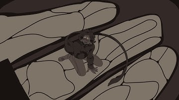 machete map // part 4