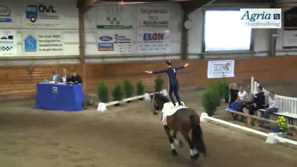 Voltige SM 2012 - Mellanklass Obligatorisk  Team Taizon