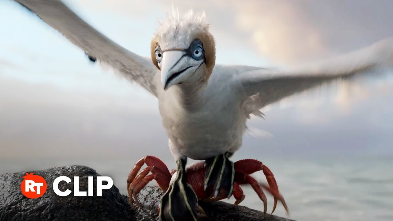 The Little Mermaid Movie Clip You Listen to Me Bird (2023) Patabook