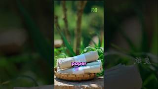 China Made Paper From Tree Bark And A Cactus. Nobody Told You That. 📄 #shorts