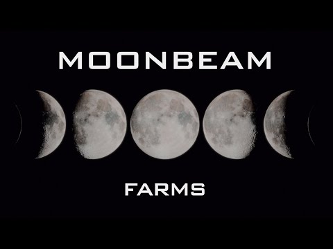 Moonbeam Farms EPS.1 Lions Mane