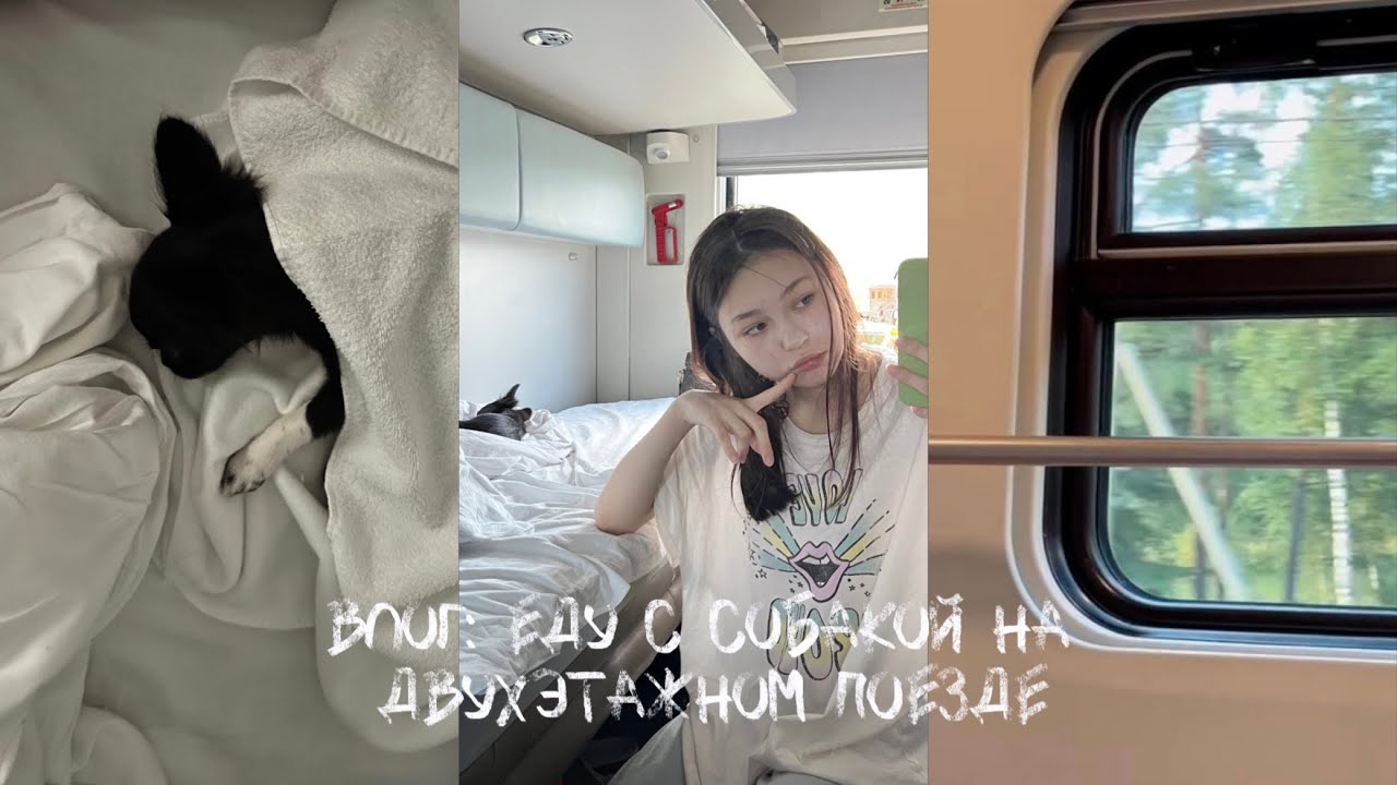 #1vlog еду на поезде с собакой