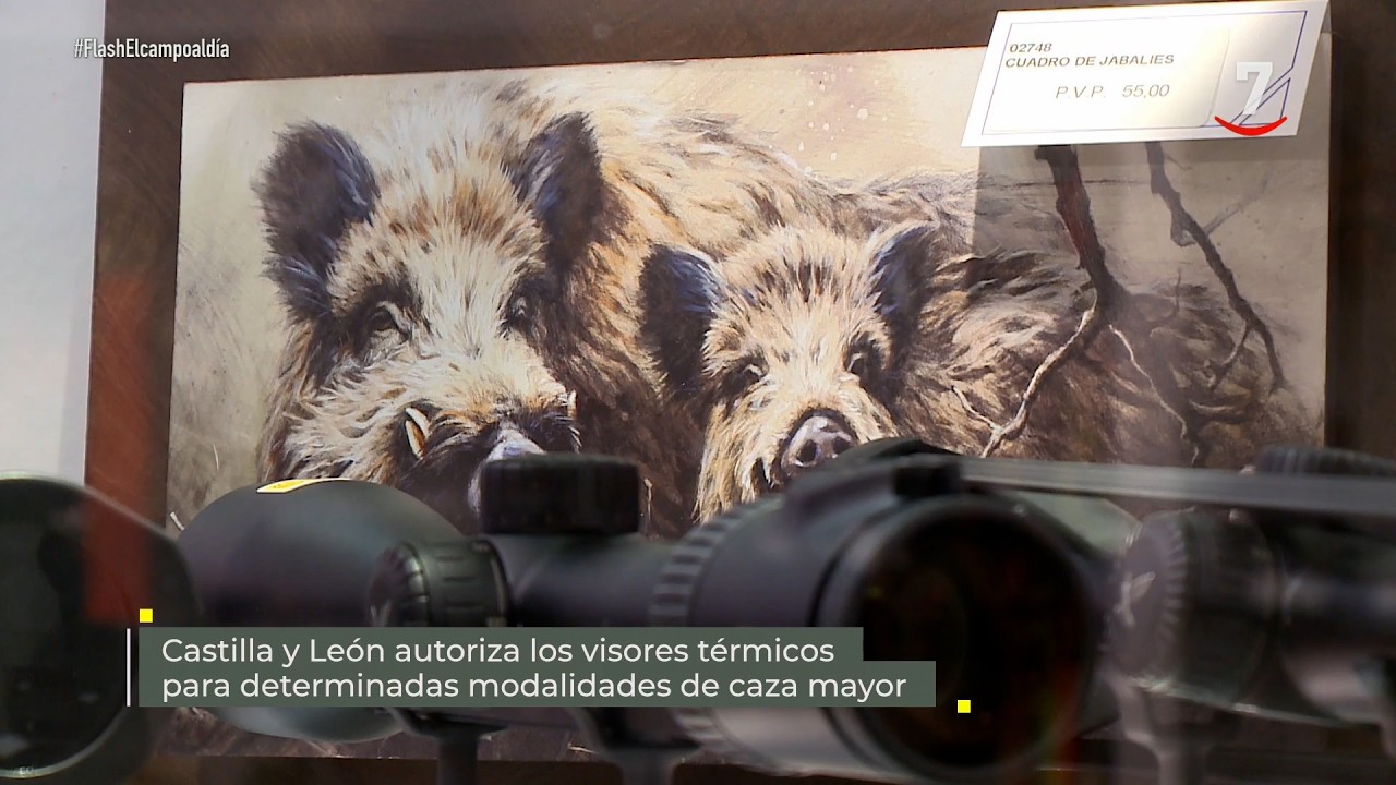 Flash El campo al día (01/10/2026): CyL autoriza los visores térmicos para modalidades de caza mayor