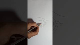 simple diagram of ovule