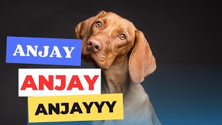 ARTI KATA ANJAY - Ternyata Ini Arti Yang Sebenarnya