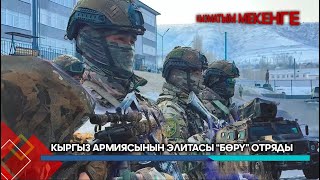 видео:  картинка: