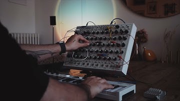 Soma Pulsar 23 and Teenage Engineering TX-6