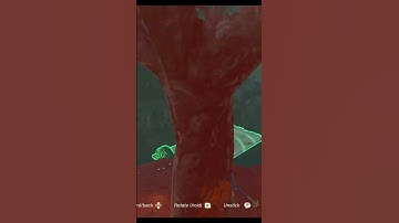 How to get the BEST SHIELD (HYLIAN SHIELD) EARLY in Tears of the Kingdom?