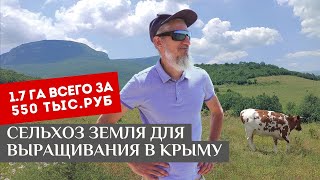 Земли сельхозназначения. Крым, Бахчисарайский район. 1,7 Га за 550 тыс.руб.