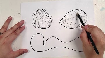 Cross Contour Organic Forms