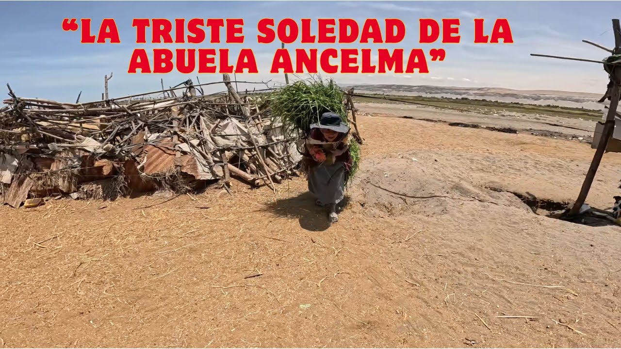 “Viuda, sola y olvidada… así vive la abuelita  Anselma”