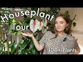 Houseplant Tour Summer 2021 | My Full Collection! (100+ plants)