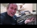 THE LARGEST SNAKE IN AFRICA!!! VENOMOUS SNAKES W/ CHEWY!! | BRIAN BARCZYK