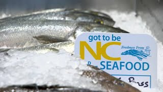 Restaurateur rips NC bill: 'Slitting throats' of commercial fishing