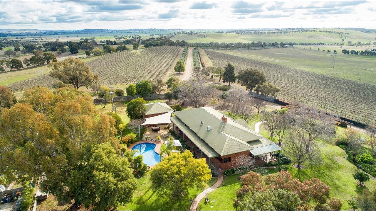 Geoff Palmer Ray White Rural Wagga Wagga Cottontail Wines YouTube