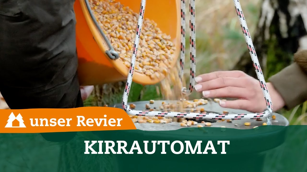 Kirrautomat I Kirrung I Schwarzwild kirren I Reviereinrichtung I unser Revier #11