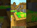 UN MONDO di VILLAGGI su MINECRAFT!