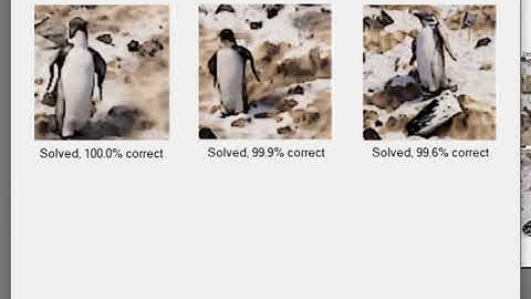 penguin funcaptcha solver